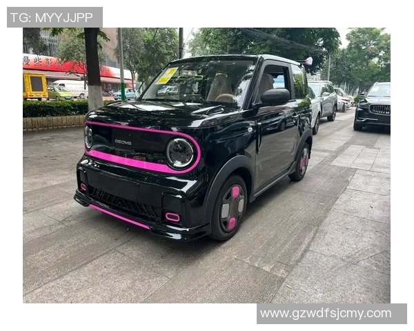 430比赛熊猫-熊猫竞速，430比赛的魅力时刻-430比赛熊猫